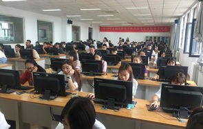 黑龙江高职电子商务专业