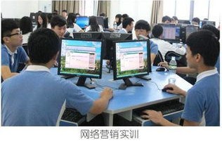 学电子商务专业要电脑吗
