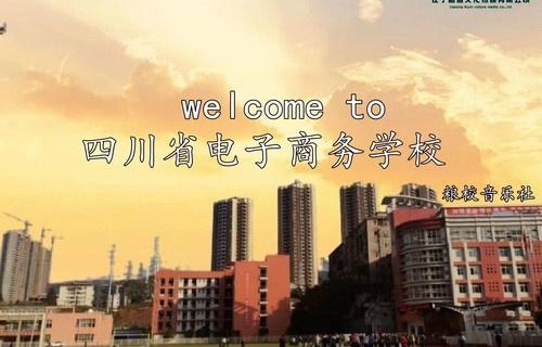 四川高校电子商务专业