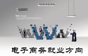 电子商务专业知识与技术