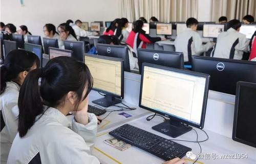 电子商务技术专业能干啥