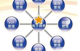 自我鉴定之电子商务专业