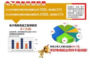电子商务专业经验是什么