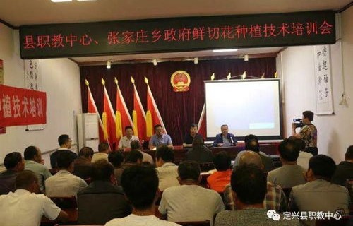 考公的专业要求电子商务
