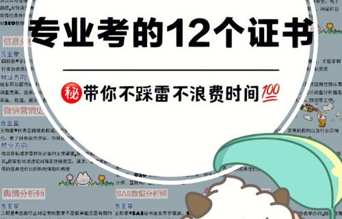 电子商务专业可以考编吗