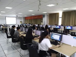 大学电子商务专业课考试