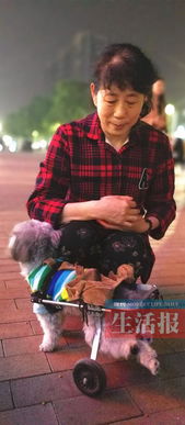 男子散步偶遇青蛇咬伤，忍痛拍照记录惊魂时刻