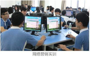 瑞典电子商务专业研究生