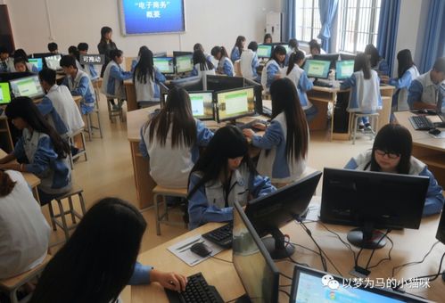 电子商务专业背的多吗