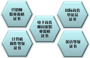 电子商务专业毕业生去向