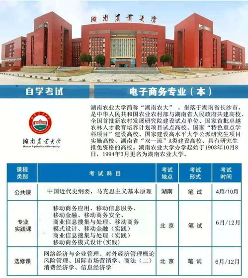 跨境电子商务专业升本升什么专业