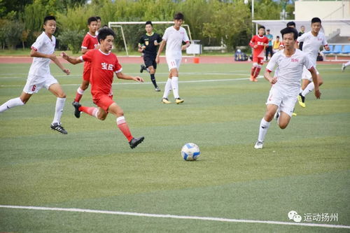 苏州3:0扬州，17岁高中生惊艳双响，足球场上的青春传奇！
