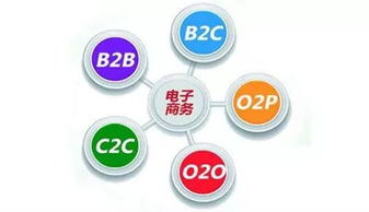 电子商务专业一年制
