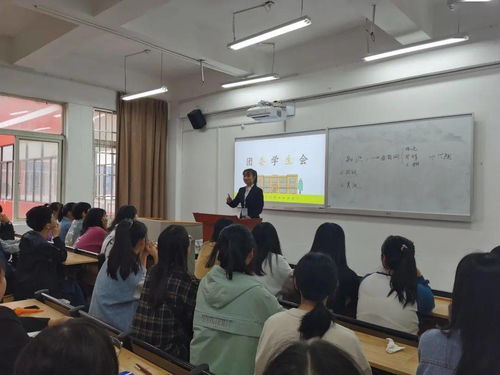 新疆电子商务师专业师资