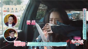 揭秘向佐欠赌债未还事件